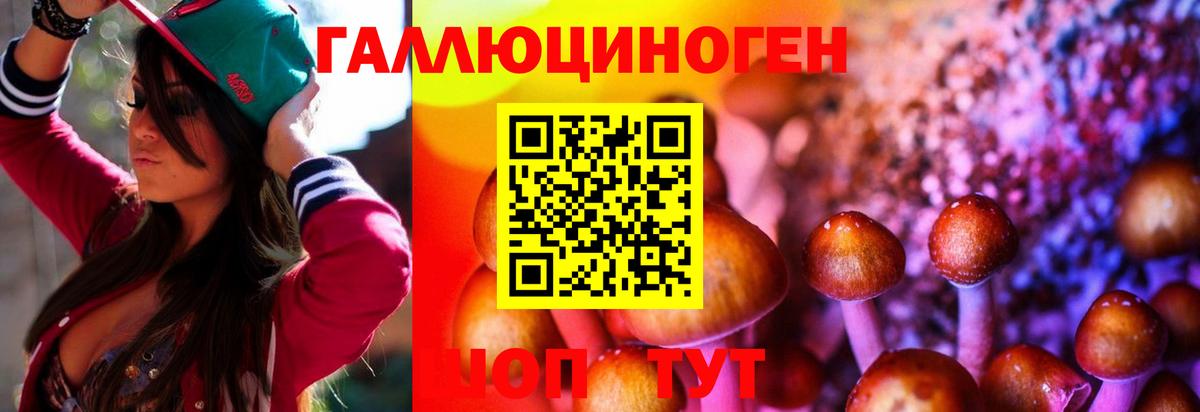 Печора  Псилоцибиновые грибы мицелий  Вход с VPN 